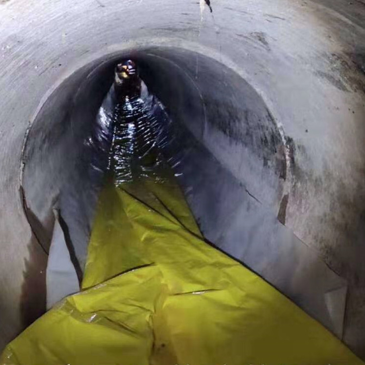 武定管道光固化修复